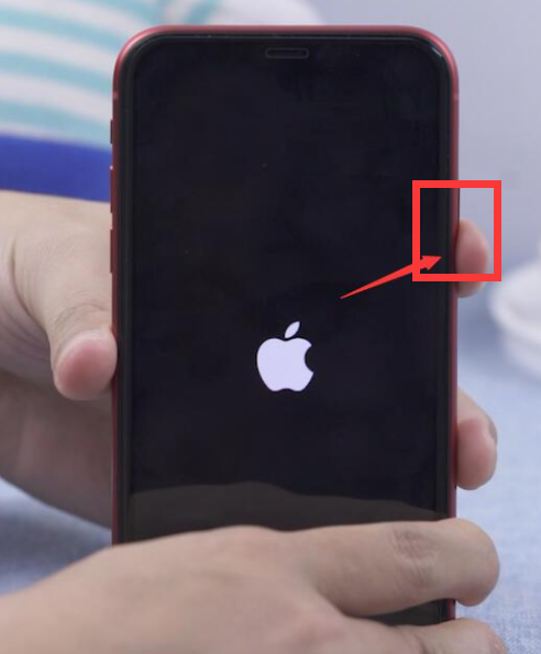 1611797385197515.png 6VW9[}VJIFL3_GZTSQ[6EAN.png