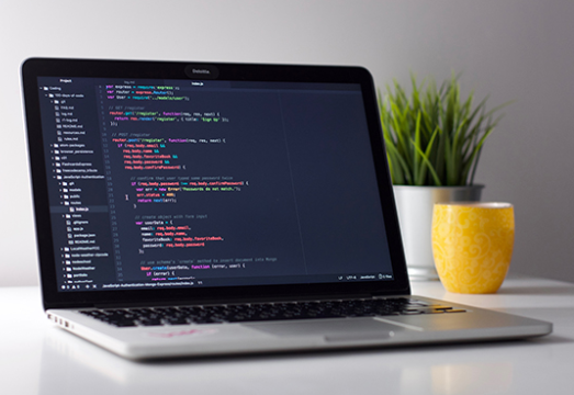 1645062020498609.png image.png