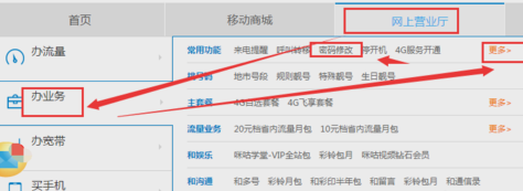 手機服務密碼 手機服務密碼