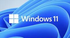 Windows11顯卡驅動怎么重新安裝？Windows11顯卡驅動重新安裝操作步驟