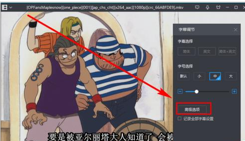 怎么用字幕 怎么用字幕