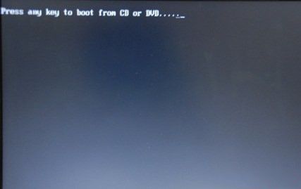 1487145702496328.jpg 2.jpg